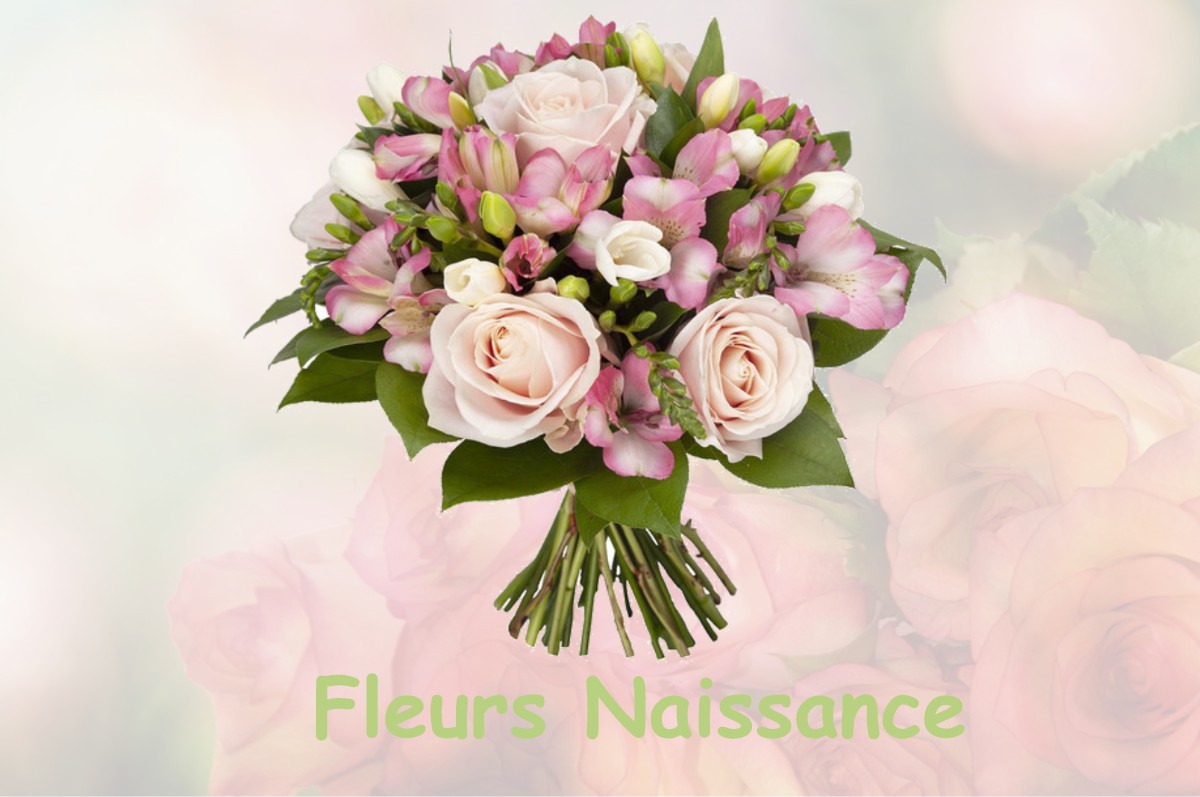 fleurs naissance FOURNETS-LUISANS