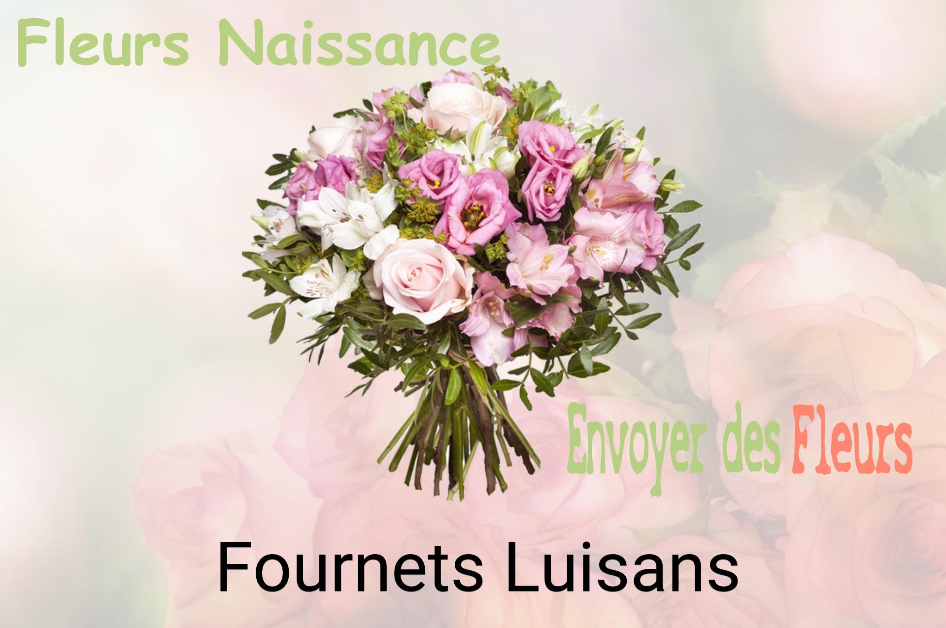Bouquet de fleurs de naissance livré à Fournets-Luisans